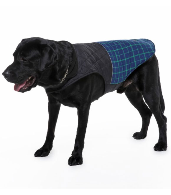 Pets.Love.Earth Four-Bar Reflective Military Coat Dark Blue and Green