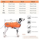 Pets.Love.Earth Four-Bar Reflective Military Coat Red