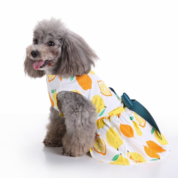 Pets.Love.Earth Citrus Cocktail Dress With Blue Bow