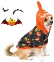 Pets.Love.Earth Hallowen Pumkin Printed Hoodies