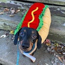 Pets.Love.Earth Bread Hot Dog Transformation