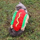 Pets.Love.Earth Bread Hot Dog Transformation