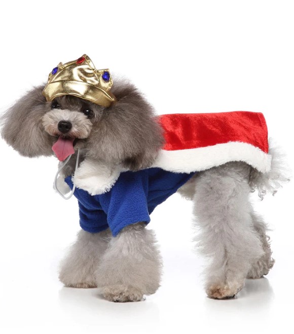 Pets.Love.Earth King costume (2 piece suit of hat + clothes)