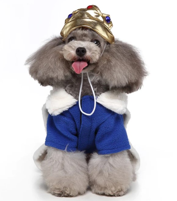 Pets.Love.Earth King costume (2 piece suit of hat + clothes)