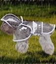 Pets.Love.Earth Lightweight Transparent Raincoat