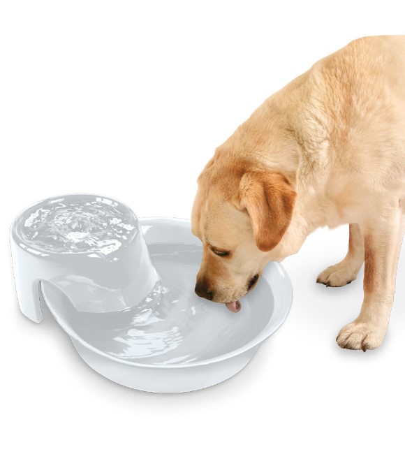 Pioneer Pet Drinking Fountain Big Max White 3.78L
