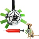 Pets.Love.Earth Football Bone Print 15cm with Pump