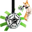 Pets.Love.Earth Football Bone Print 15cm with Pump
