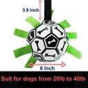 Pets.Love.Earth Football Bone Print 15cm with Pump