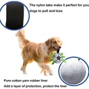 Pets.Love.Earth Football Bone Print 15cm with Pump
