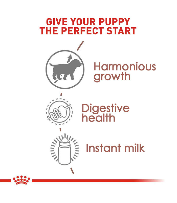 Royal Canin Baby Dog Milk 400g