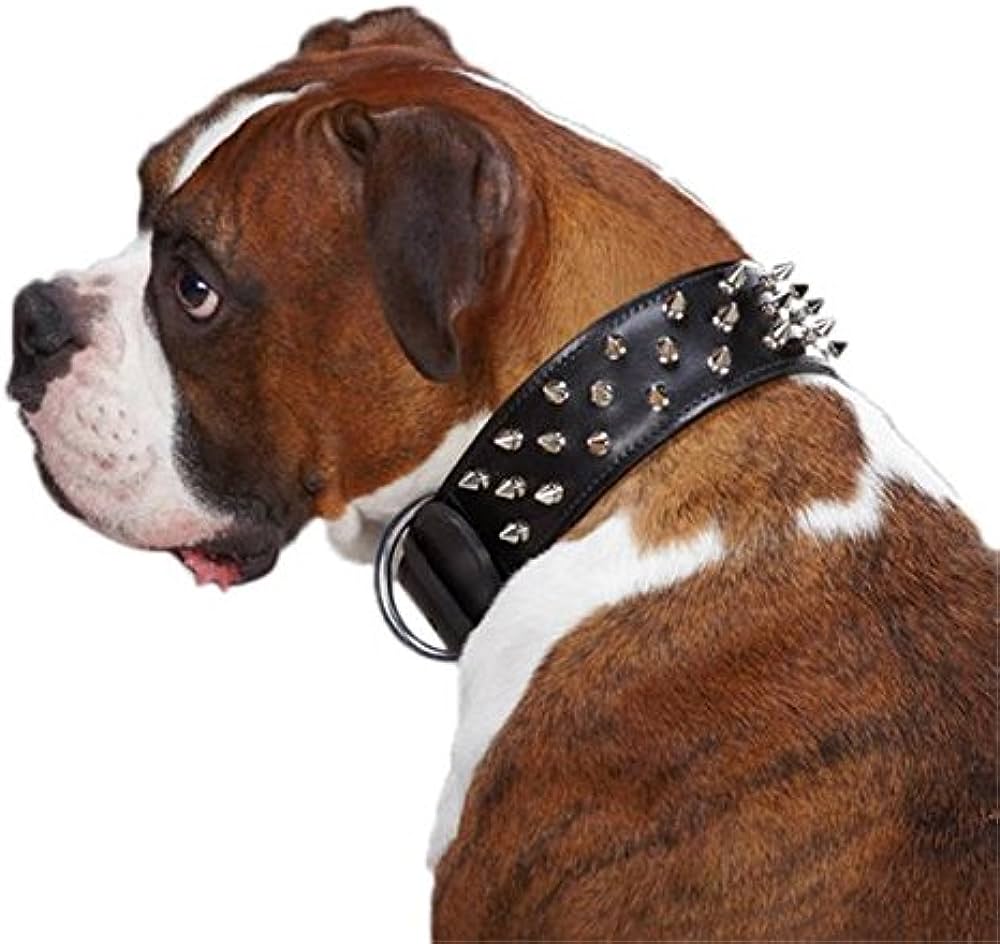 Casual Canine Leather Deluxe Spiked Dog Collar 29-inch Black