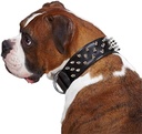 Casual Canine Leather Deluxe Spiked Dog Collar 29-inch Black
