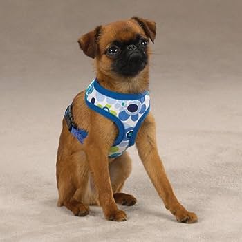 Casual Canine Cotton/polyester Mod Print Fabric Dog Harness, X-small, Blue