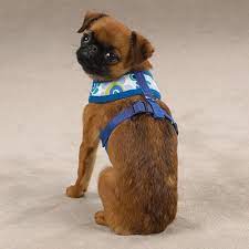 Casual Canine Cotton/polyester Mod Print Fabric Dog Harness, X-small, Blue