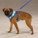 Casual Canine Cotton/polyester Mod Print Fabric Dog Harness, X-small, Blue