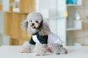 Pets.Love.Earth Urban Half sleeve Black