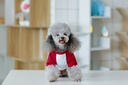Pets.Love.Earth Urban Half sleeve Red