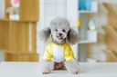 Pets.Love.Earth Urban Half sleeve Yellow