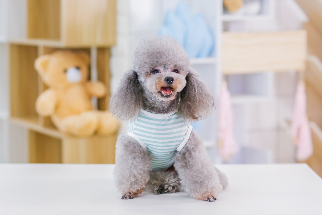 Pets.Love.Earth Baby Vest
