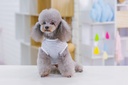 Pets.Love.Earth Dad Vest