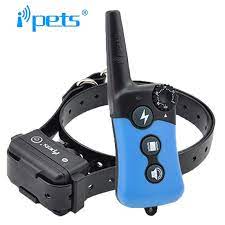 300 Yards Waterproof and Rechargeable Dog Remote Training Collar-619