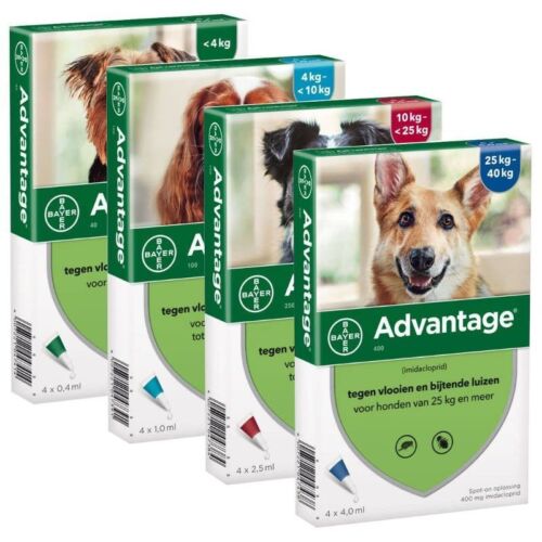 Advantage Flea and Tick Medication for Dogs 25-40kg