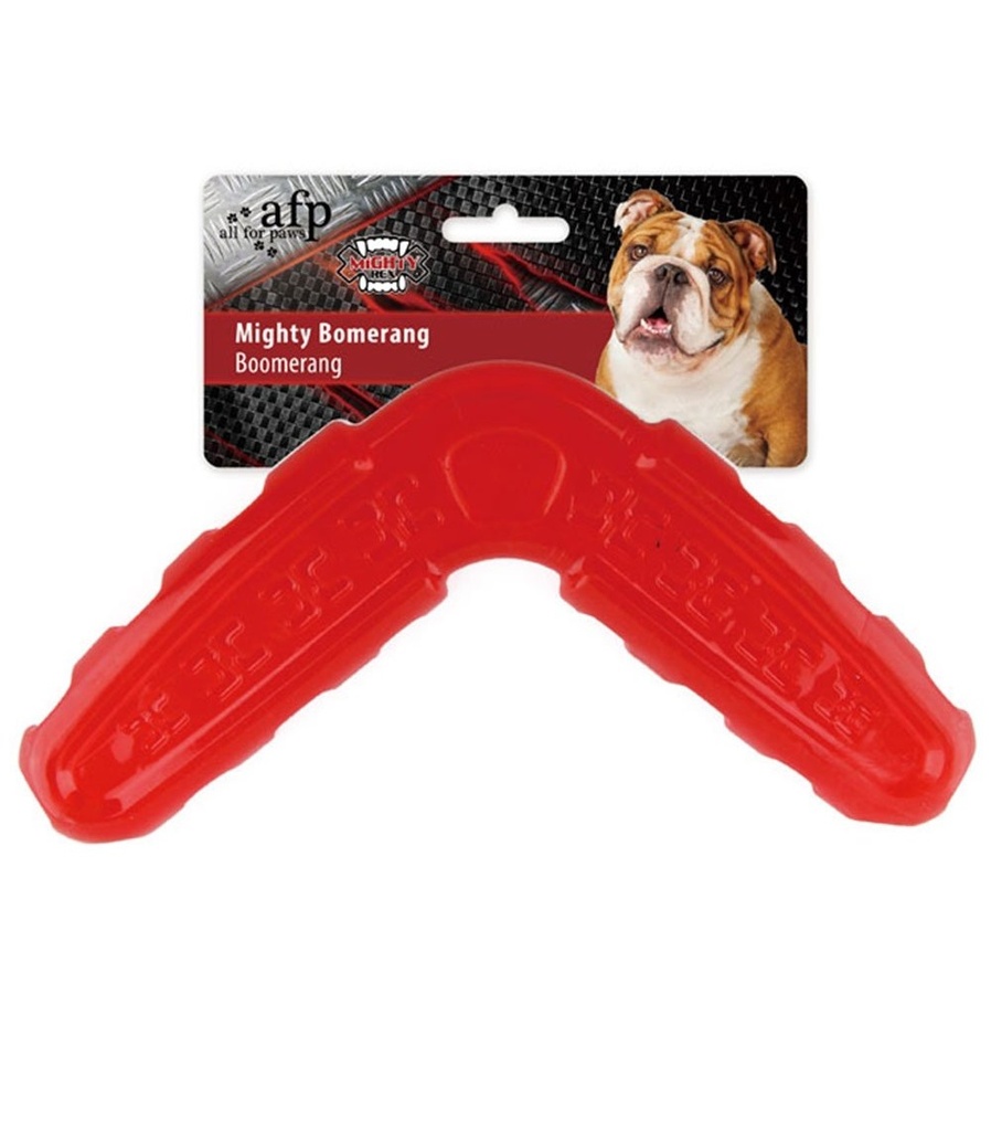 All For Paws Mighty Rex - Boomerang - TPR Toy