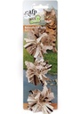 All For Paws Wild nature - Naturally Fun Balls