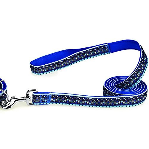 Casual Canine Neoprene Lead 6 Ft X 1 In Blue Aztec