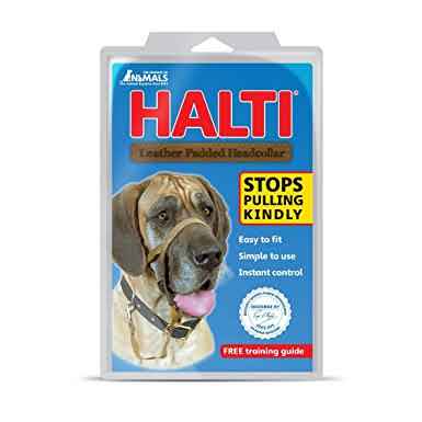 Halti Nylon Headcollar, Size 5, Black