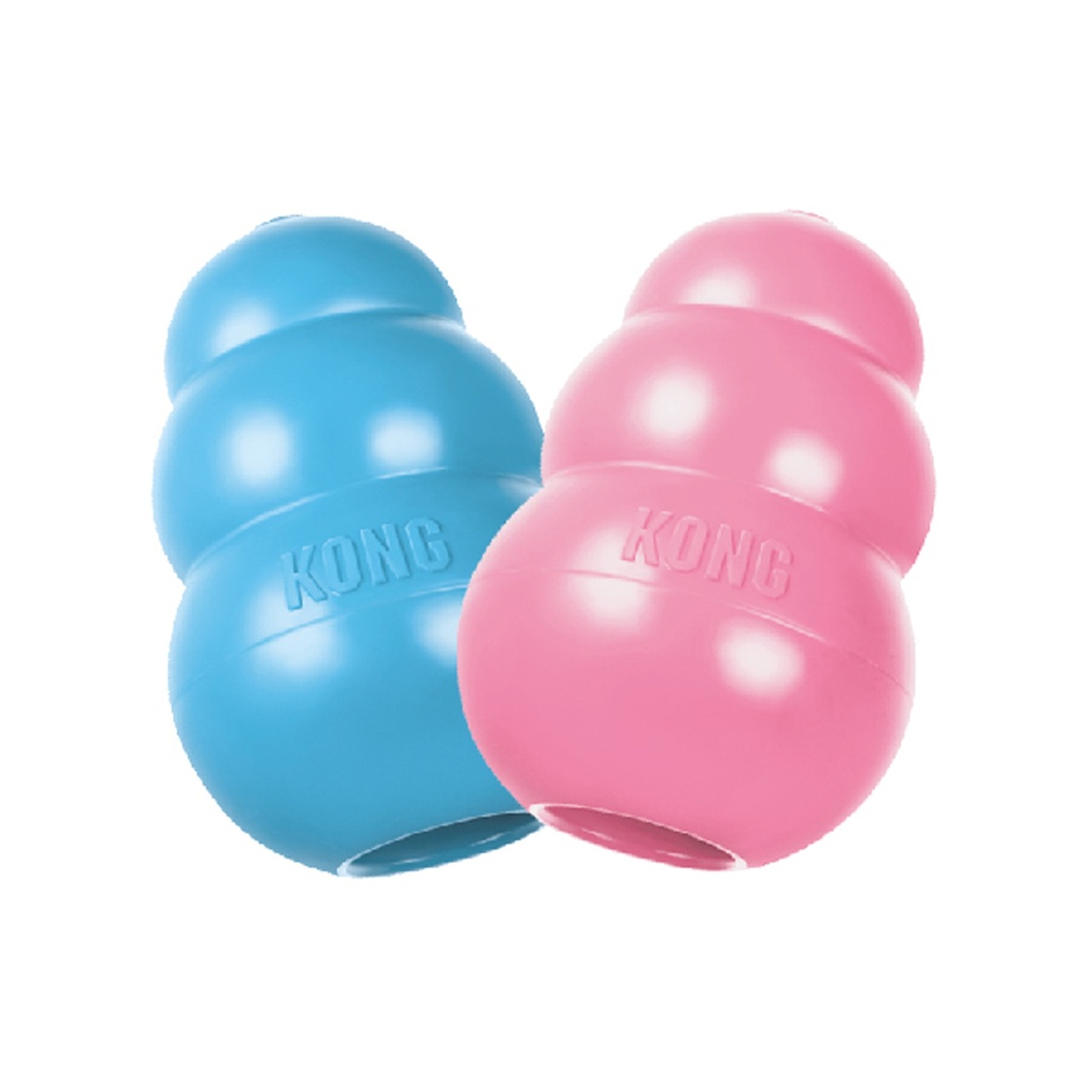 Kong Puppy Large