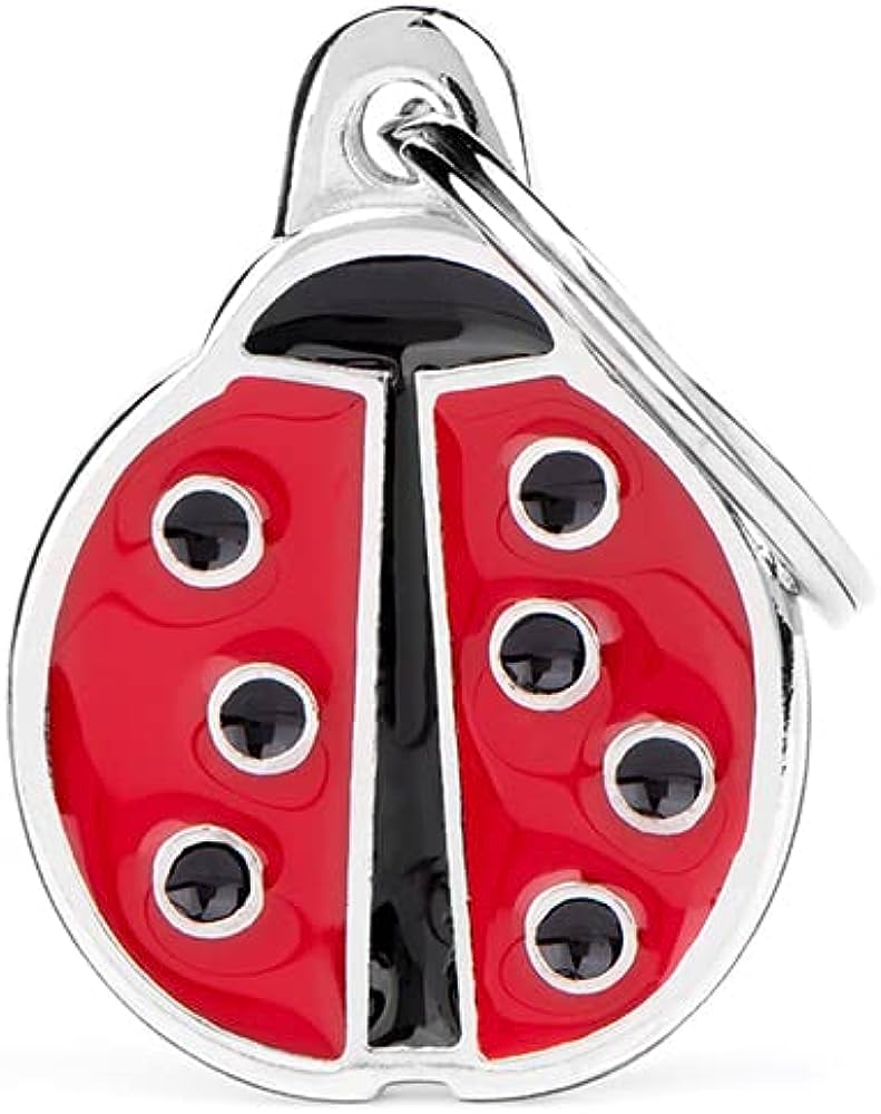 My Family Charms ID Tag - LadyBug