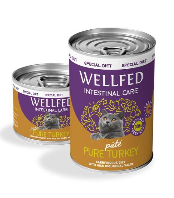 Pet Interest Wellfed Turkey Intestinal Care Can 200g For Cats