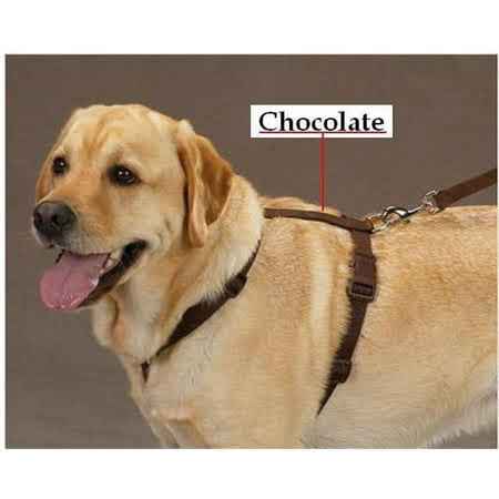 Zack &amp; Zoey Nylon Harness 8-14In Chocolate Brown
