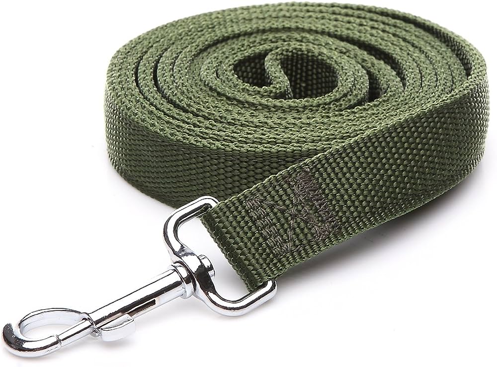 Zack &amp; Zoey Nylon Lead 6 Ft x 1 In Parrot Green