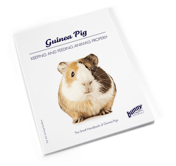 Bunny Nature The Small Hand book of Guinea Pig