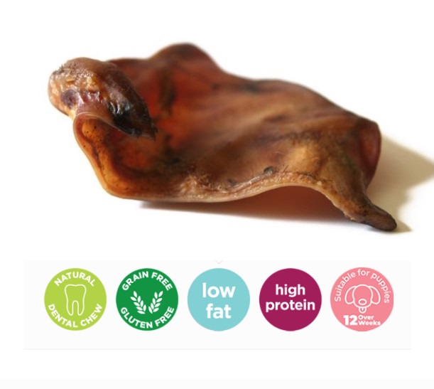 JR Pig Ears 1Pk