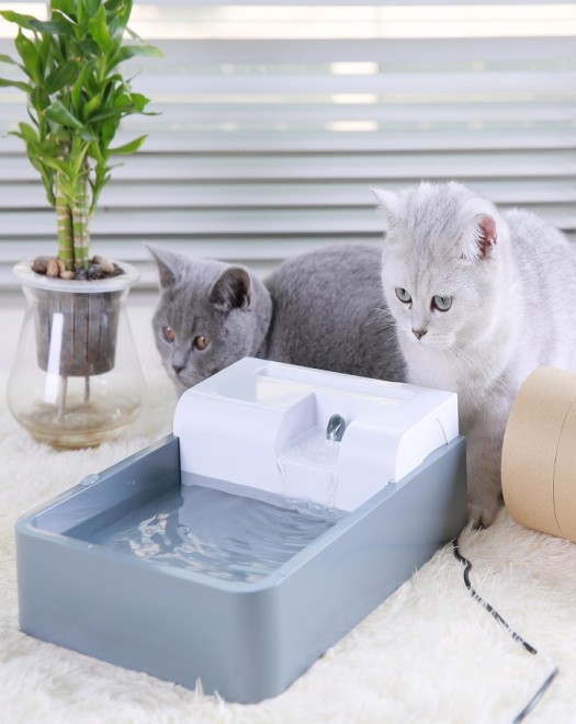 Pioneer Pet Fountain with Grass with USB Plug Power cord 72oz