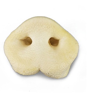 JR Puffed Porky Snouts (1 Pcs)