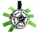 Pets.Love.Earth Football Bone Print 15cm with Pump