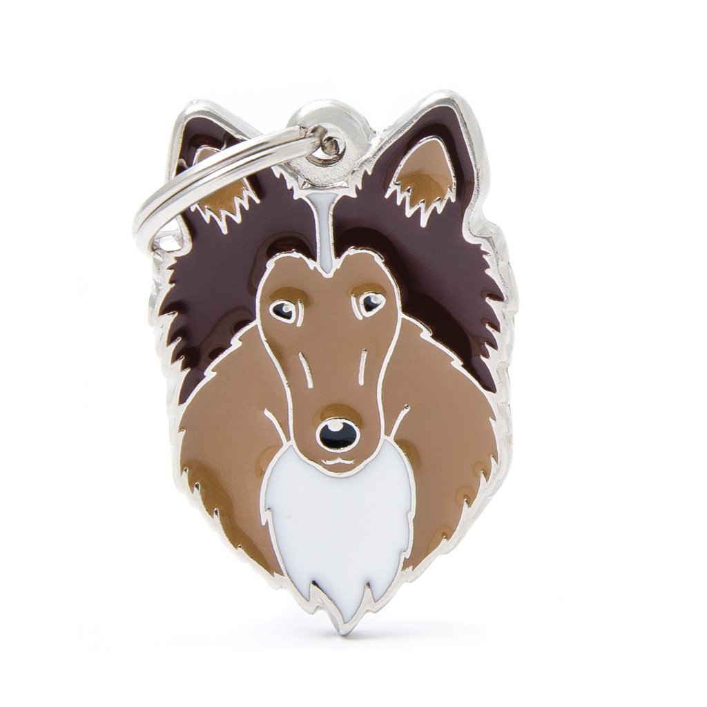 My Family Friends ID Tag - Collie