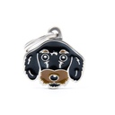 My Family Friends ID Tag  - Black And Tan Wirehaired Dachshund