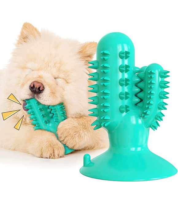 Pet Interest Cactus Squeaker Dog Dental Chew Toy Yellow