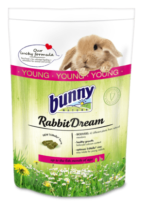 Bunny Nature Rabbit Dream Young