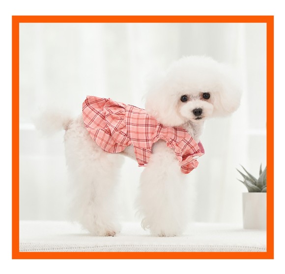 Pets.Love.Earth Checkered Dress Pink With Leash