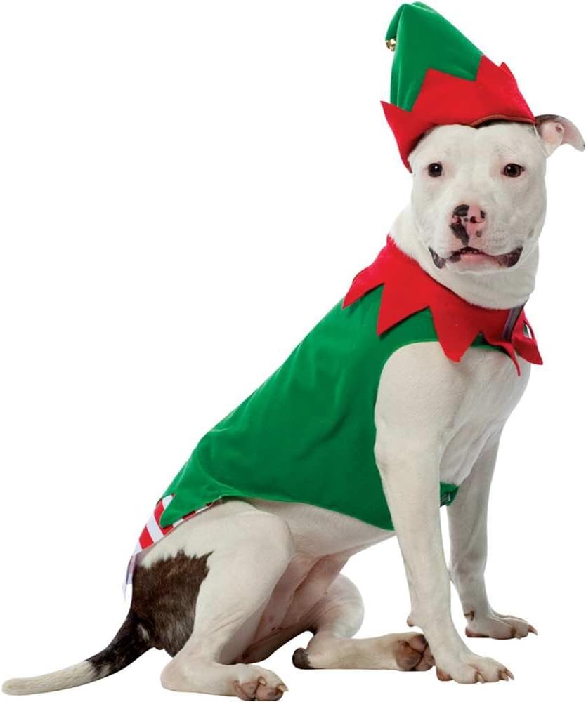 Pets.Love.Earth Christmas clown costume