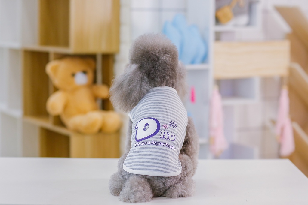 Pets.Love.Earth Dad Vest