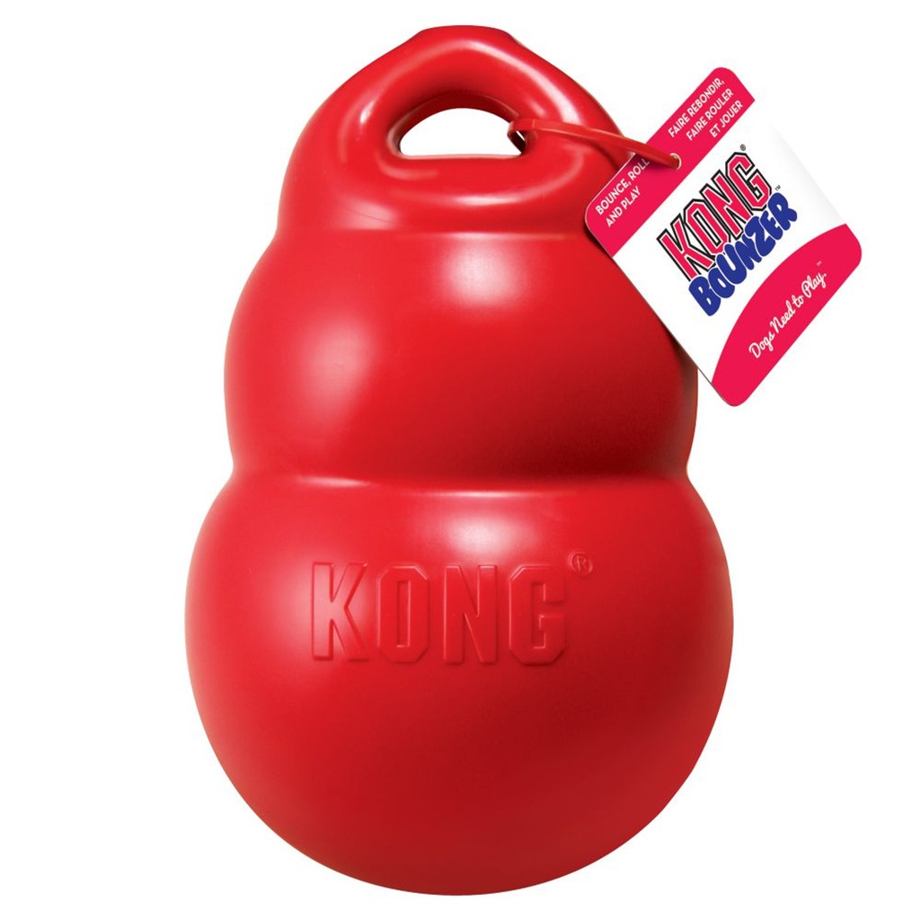 Kong Bounzer Toy for Dogs