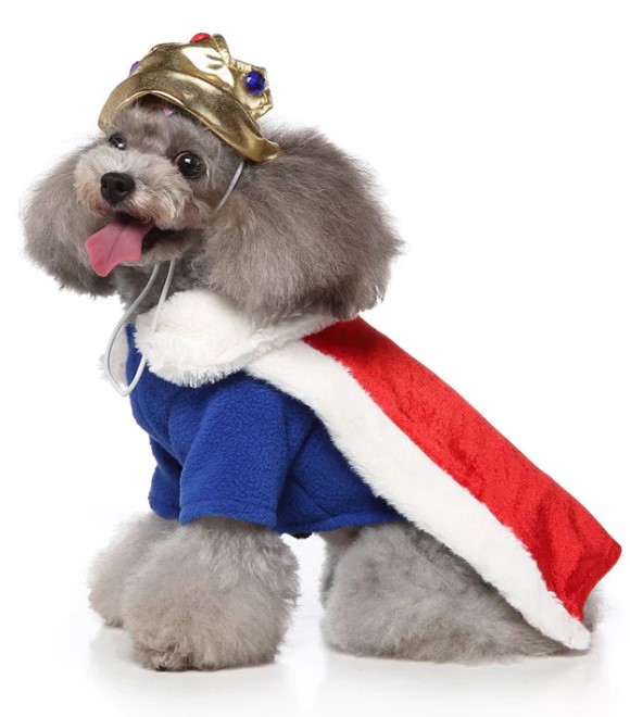 Pets.Love.Earth King costume (2 piece suit of hat + clothes)